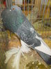 DSCN0341