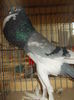 DSCN0344