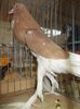 DSCN0346
