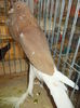 DSCN0351