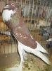 DSCN0352