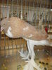 DSCN0356