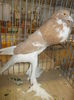 DSCN0357