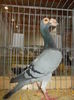 DSCN0363