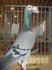 DSCN0364