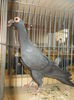 DSCN0369