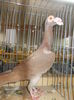DSCN0370