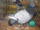 DSCN0372