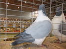 DSCN0375