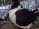 DSCN0381