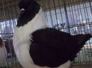DSCN0382
