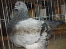 DSCN0387
