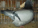 DSCN0388