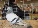 DSCN0399