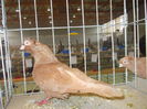 DSCN0401
