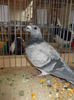 DSCN0407