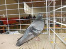 DSCN0411