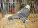 DSCN0419