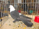 DSCN0420