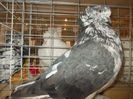 DSCN0429