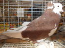 DSCN0431