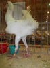 DSCN0437