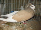 DSCN0446