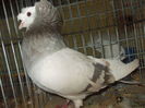 DSCN0447