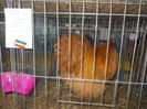 DSCN0456