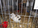 Picture 021