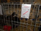 Picture 026