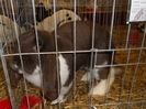 Picture 073