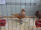DSC08828