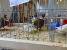 DSC08891