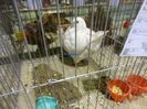 DSC08957