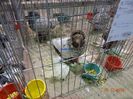 DSC08979