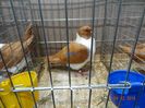 DSC08540