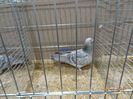 DSC08548