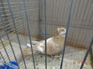 DSC08568
