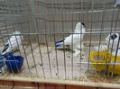DSC08637
