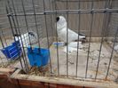 DSC08639