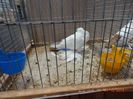 DSC08640
