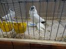DSC08644