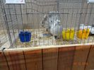 DSC08656
