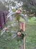 20150923_174759