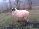 105013212_XBZZLFB3