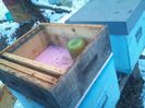 cache_0000014b6ebd344f135