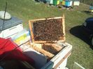 cache_0000014bfe16b5244