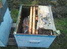 cache_0000014c46a03e882