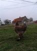 20151210_161350
